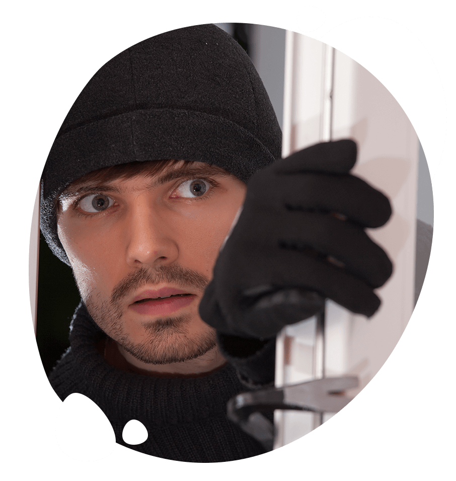 Burglar NJ